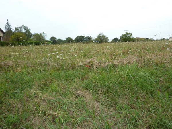 Offres de vente Terrain à batir La Trimouille 86290